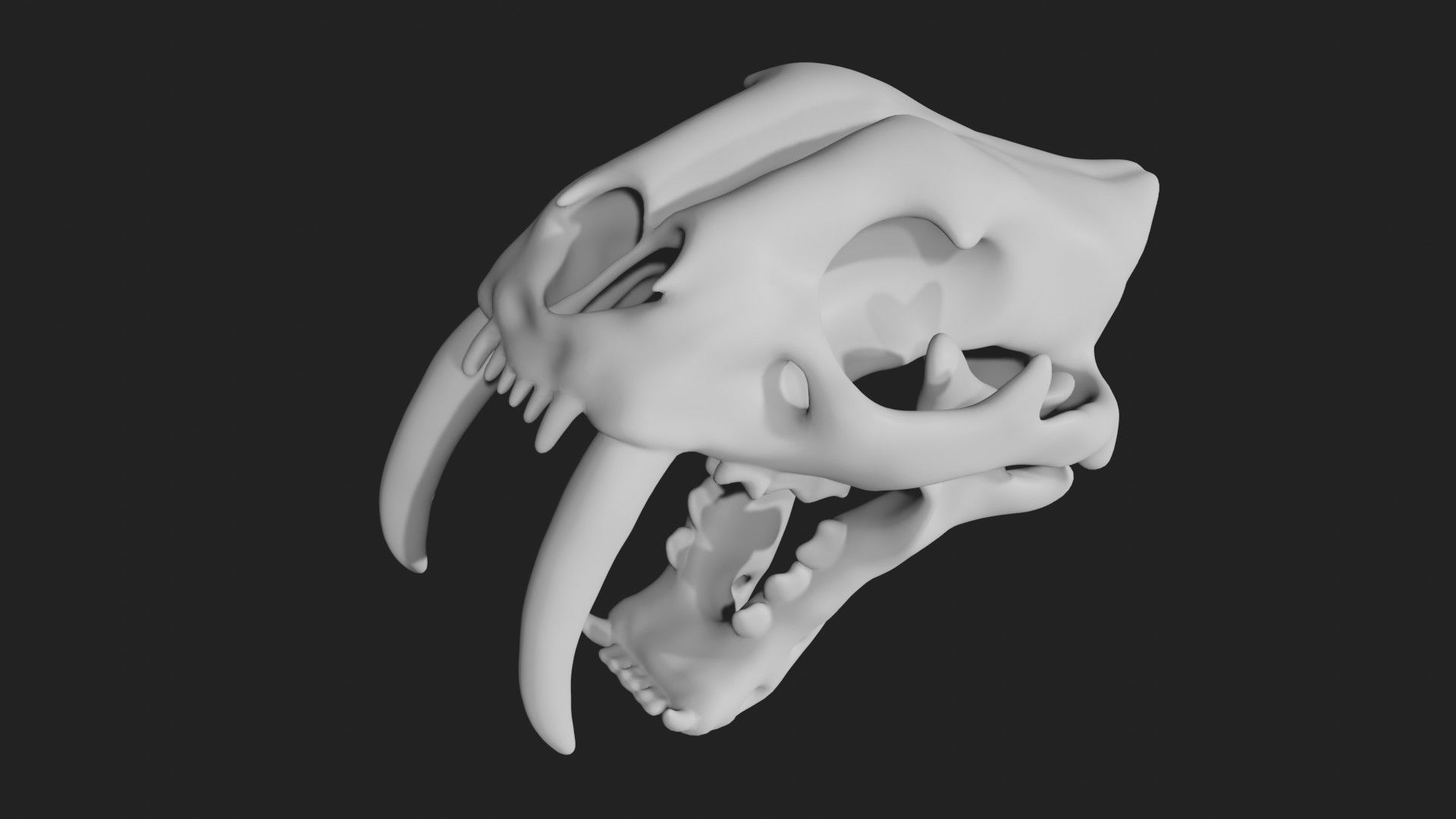 Sabertooth Smilodon tiger Skull Low-poly 3D model_4