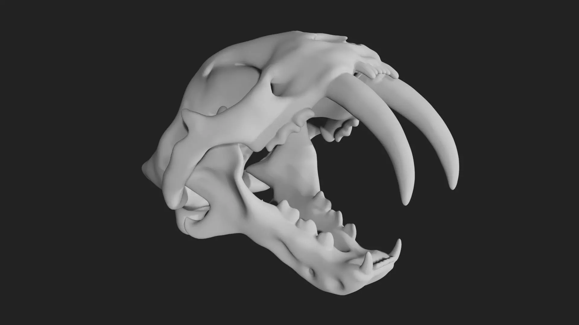 Sabertooth Smilodon tiger Skull Low-poly 3D model_0
