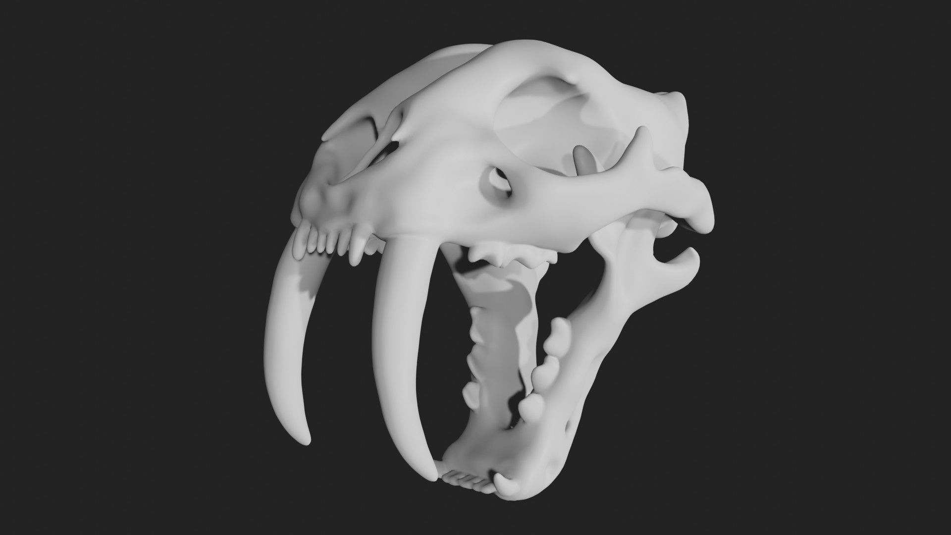 Sabertooth Smilodon tiger Skull Low-poly 3D model_6