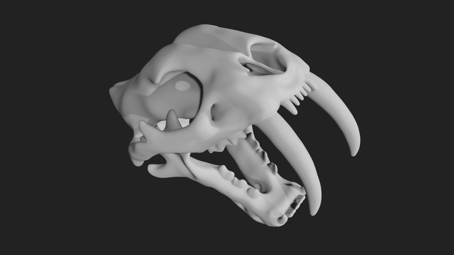 Sabertooth Smilodon tiger Skull Low-poly 3D model_1
