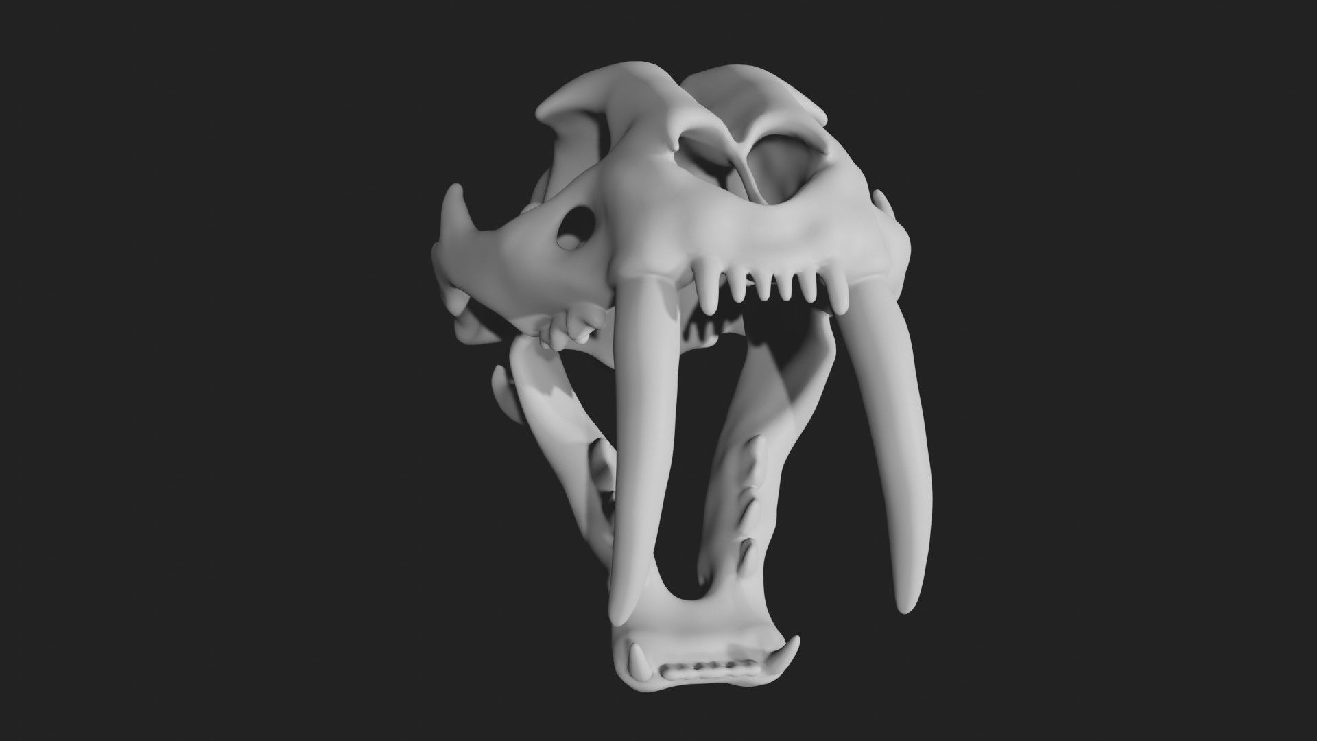 Sabertooth Smilodon tiger Skull Low-poly 3D model_2