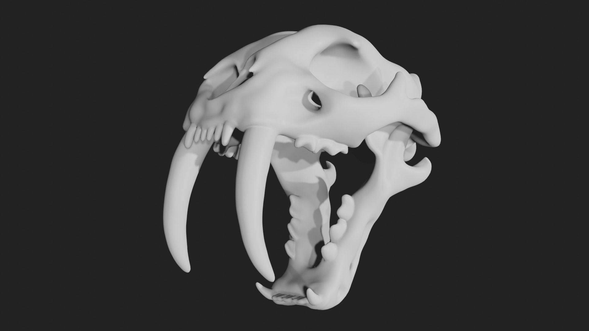 Sabertooth Smilodon tiger Skull Low-poly 3D model_7