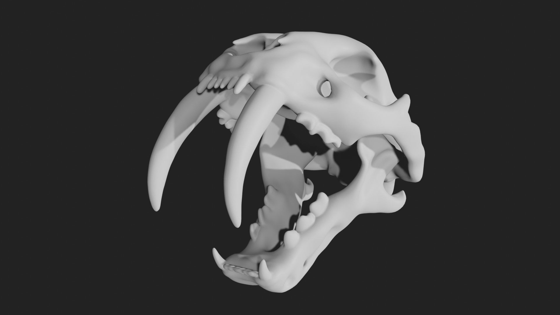 Sabertooth Smilodon tiger Skull Low-poly 3D model_3