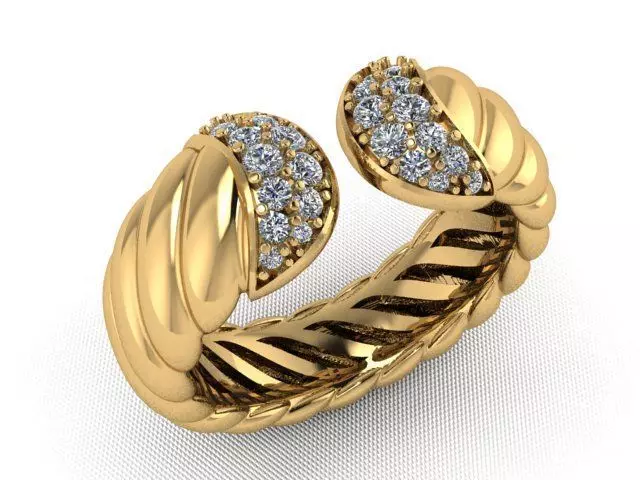 Ring jewelry 3D print model_0