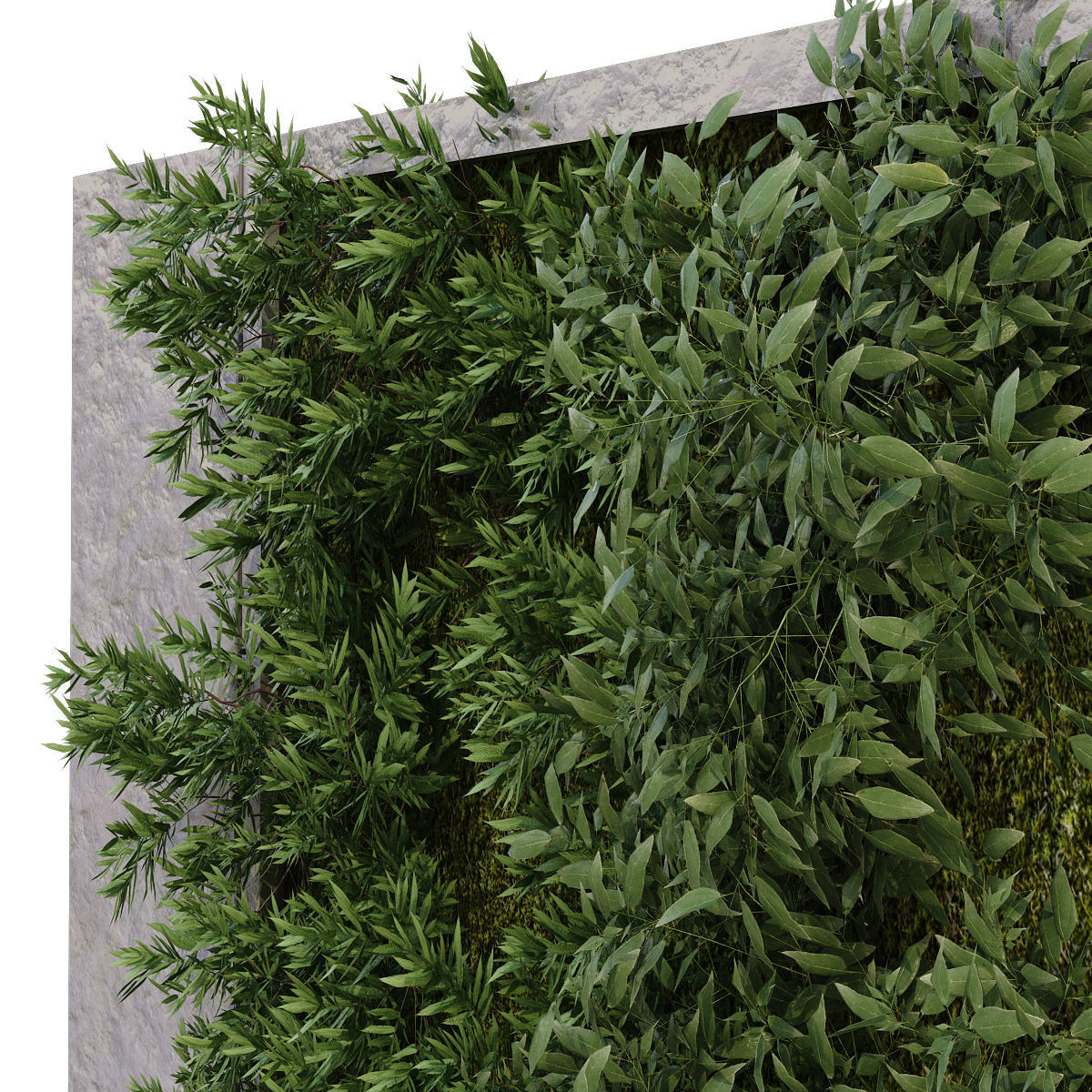 Greenwall set 182 3D model_1