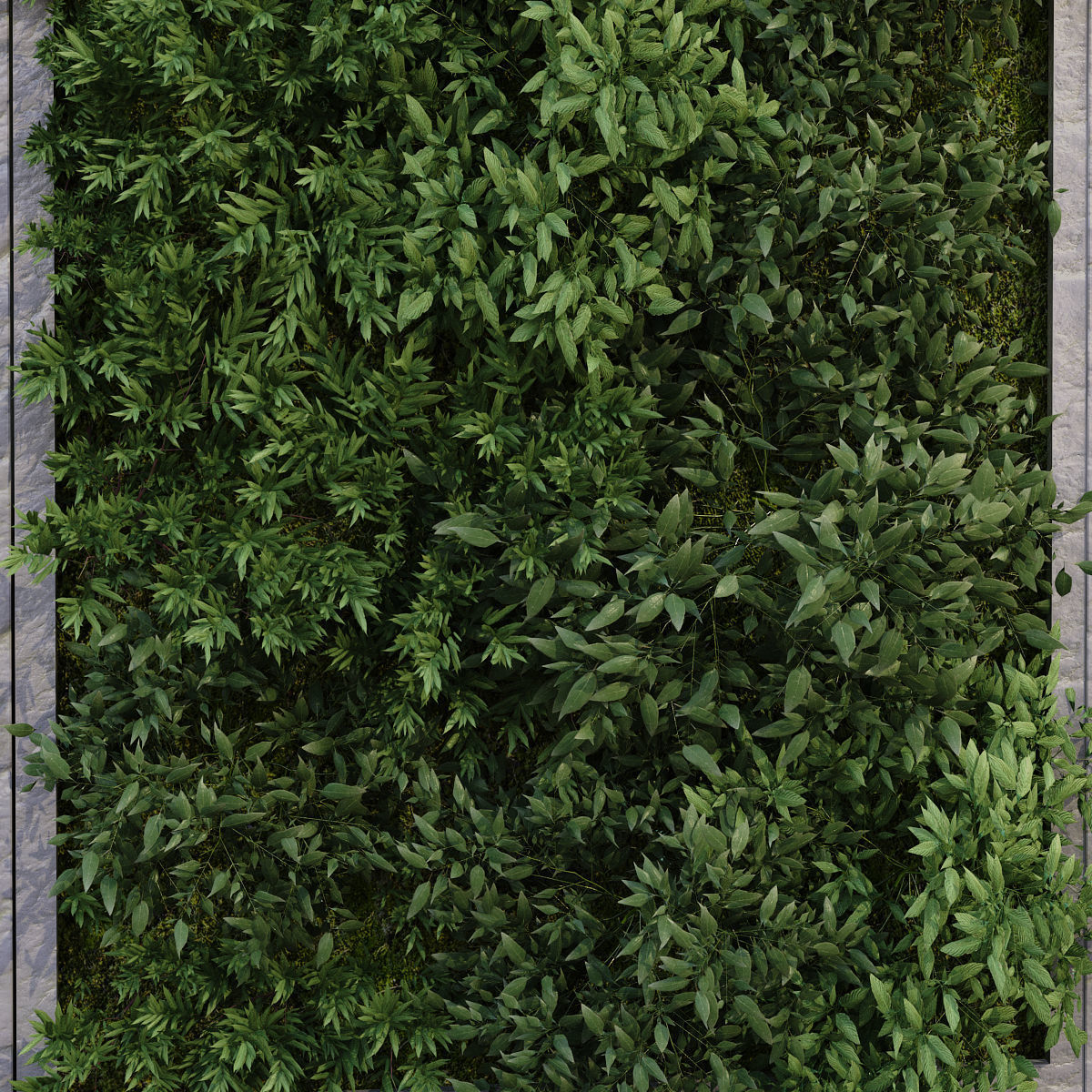 Greenwall set 182 3D model_4