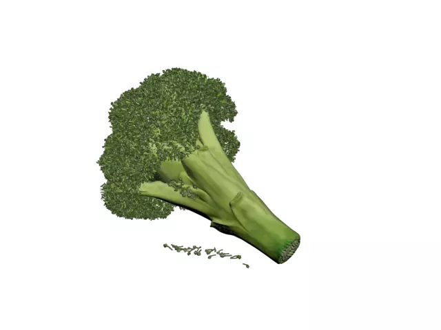 Broccoli piece of Free 3D model_0