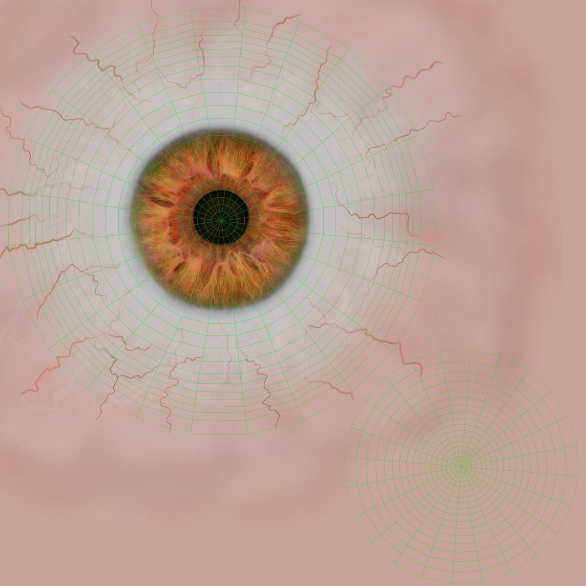 Young African Elephant Animated  VFX Grace 3D model_23