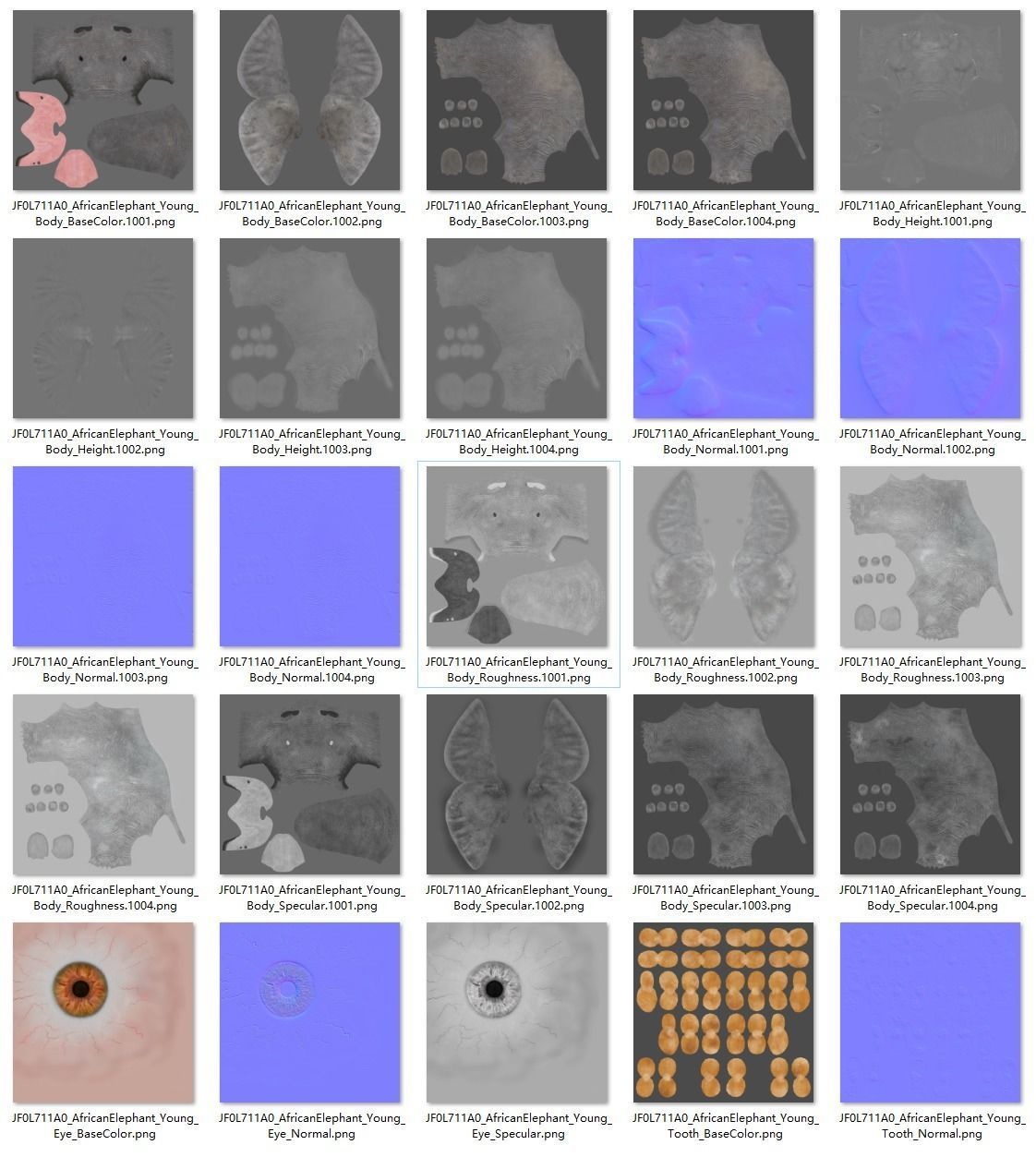 Young African Elephant Animated  VFX Grace 3D model_22