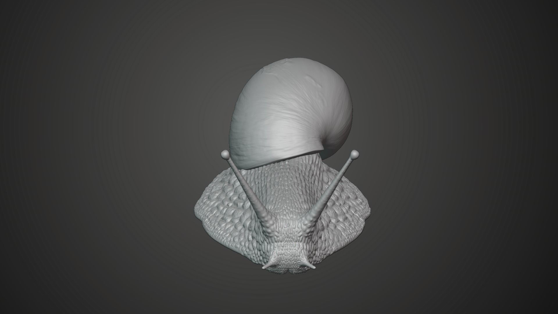 African Snail Animated  VFX Grace 3D model_11