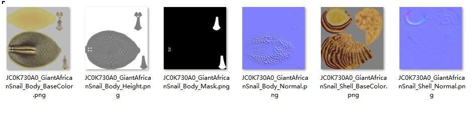 African Snail Animated  VFX Grace 3D model_18