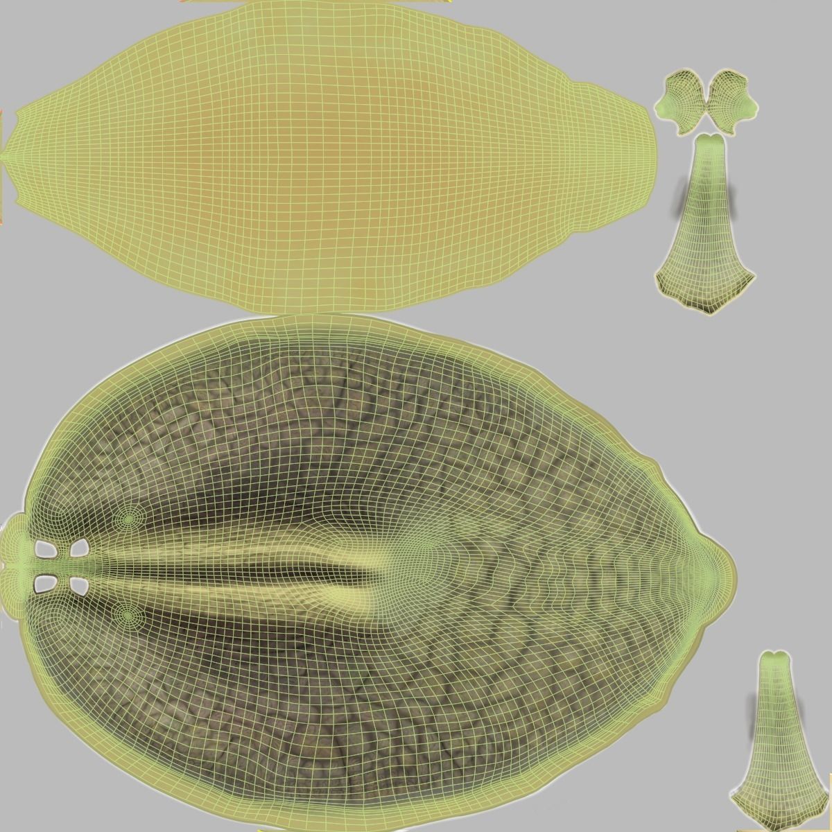 African Snail Animated  VFX Grace 3D model_19