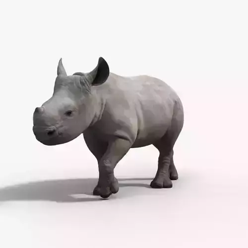 Rhino Baby Animated  VFX Grace 3D model