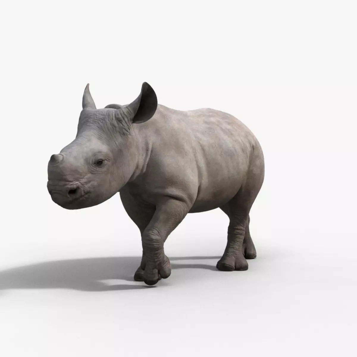 Rhino Baby Animated  VFX Grace 3D model_0