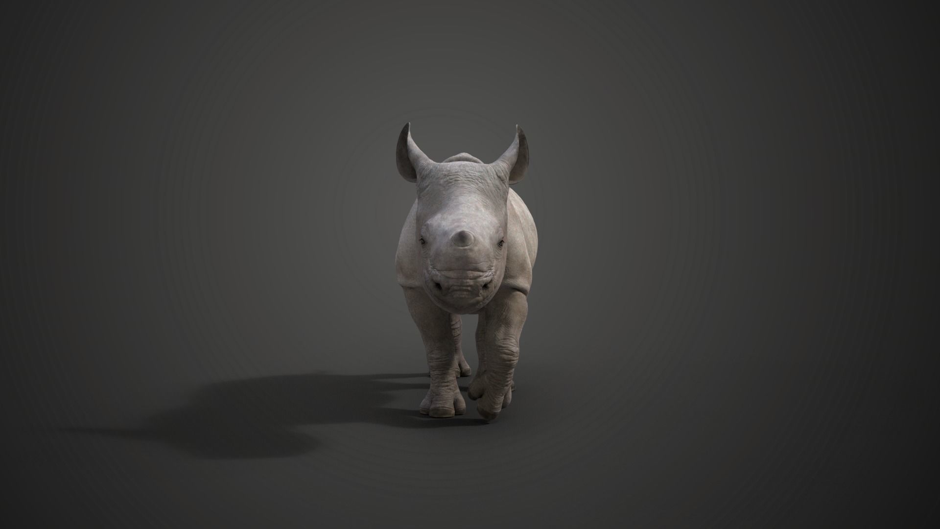 Rhino Baby Animated  VFX Grace 3D model_5