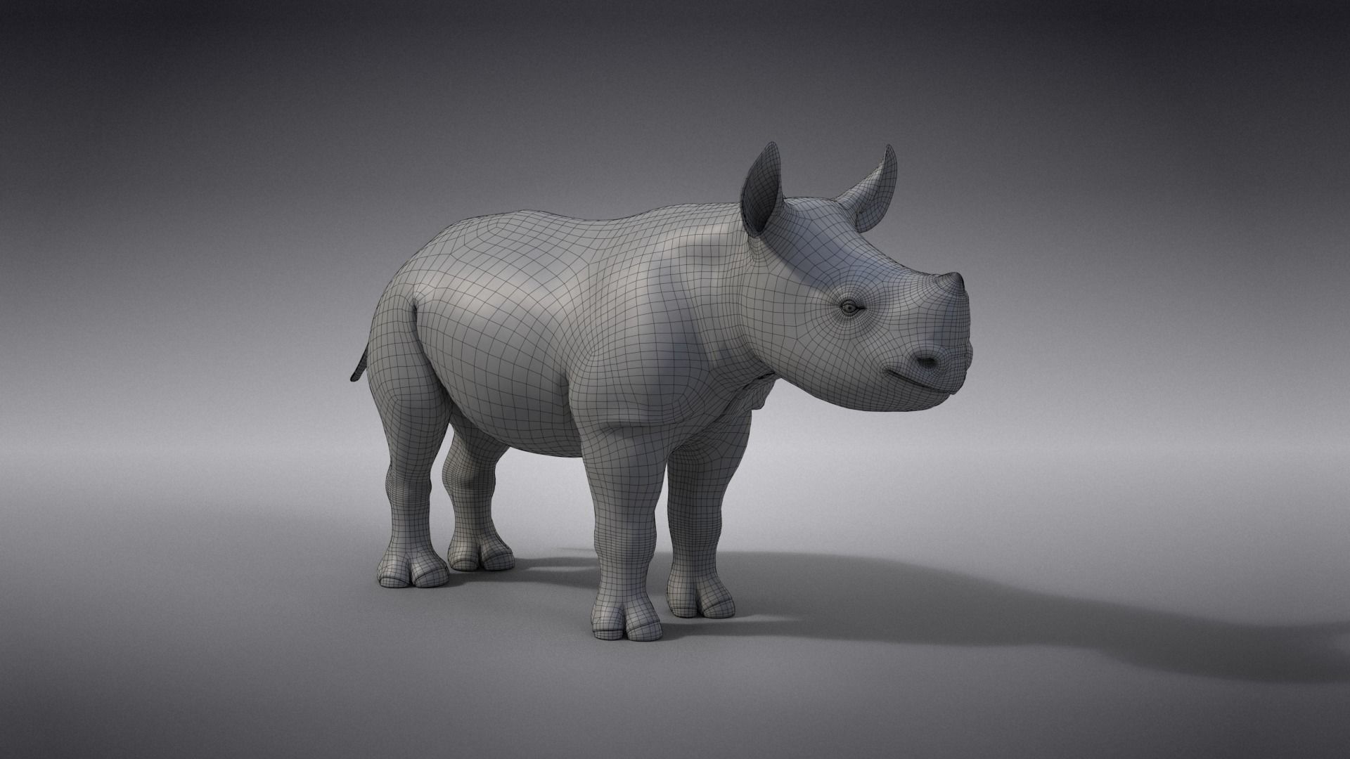 Rhino Baby Animated  VFX Grace 3D model_19