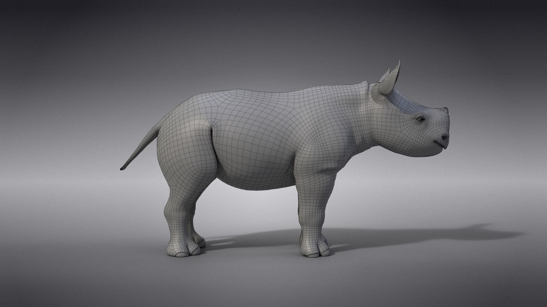 Rhino Baby Animated  VFX Grace 3D model_18