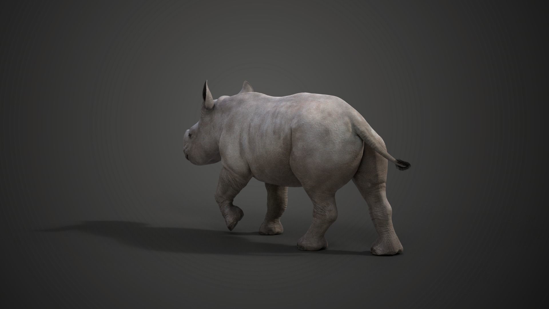 Rhino Baby Animated  VFX Grace 3D model_8