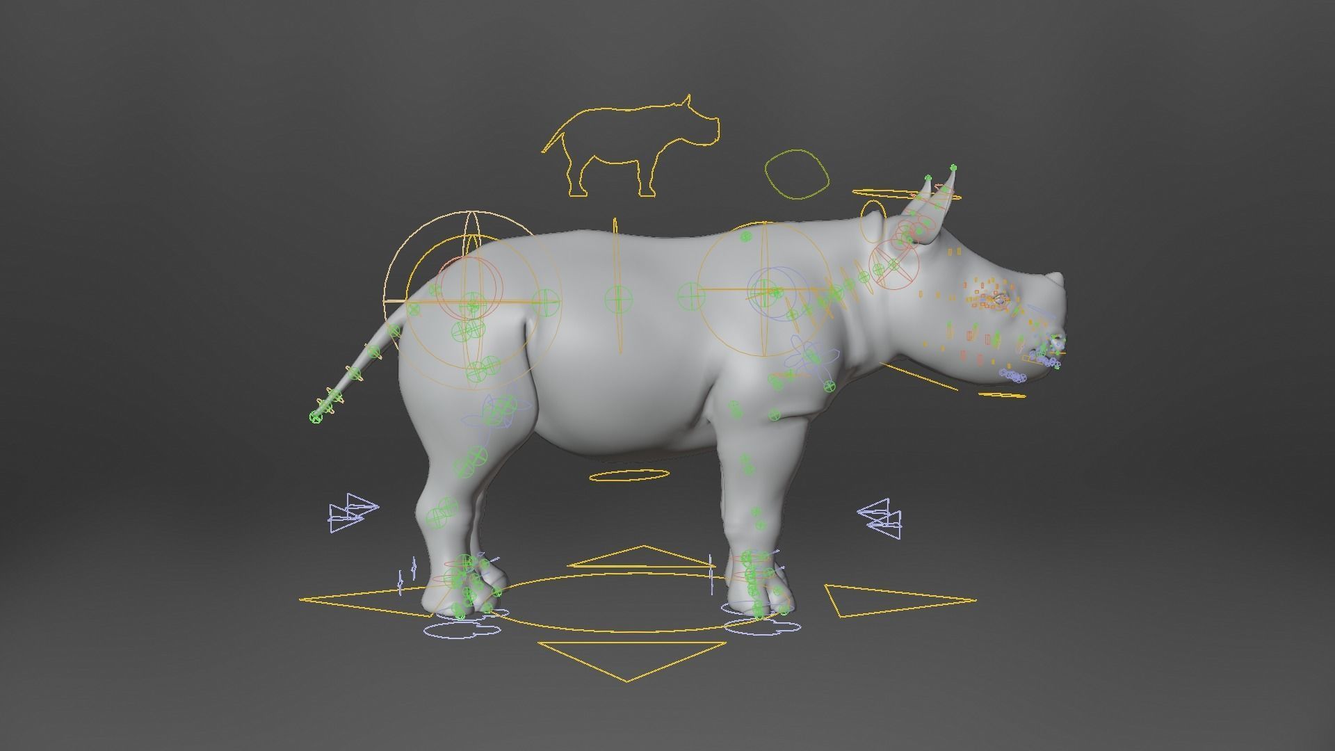 Rhino Baby Animated  VFX Grace 3D model_12