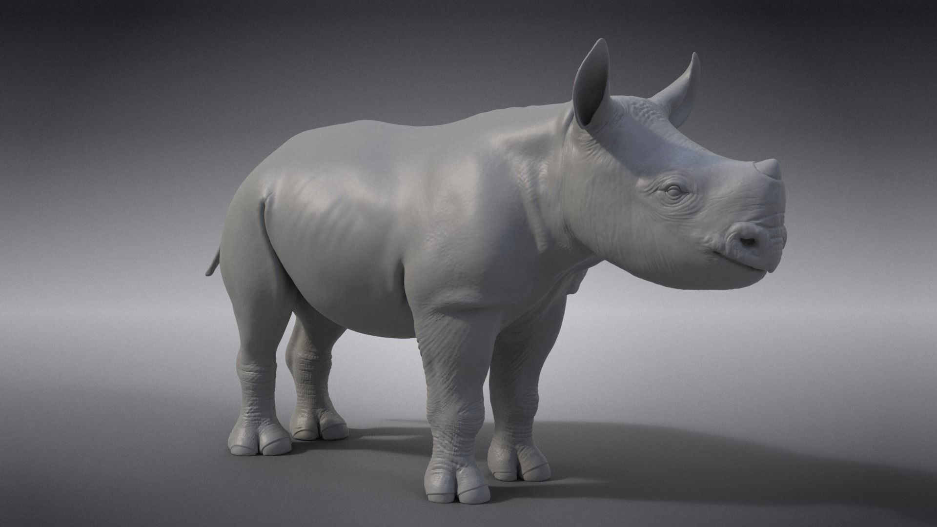 Rhino Baby Animated  VFX Grace 3D model_11