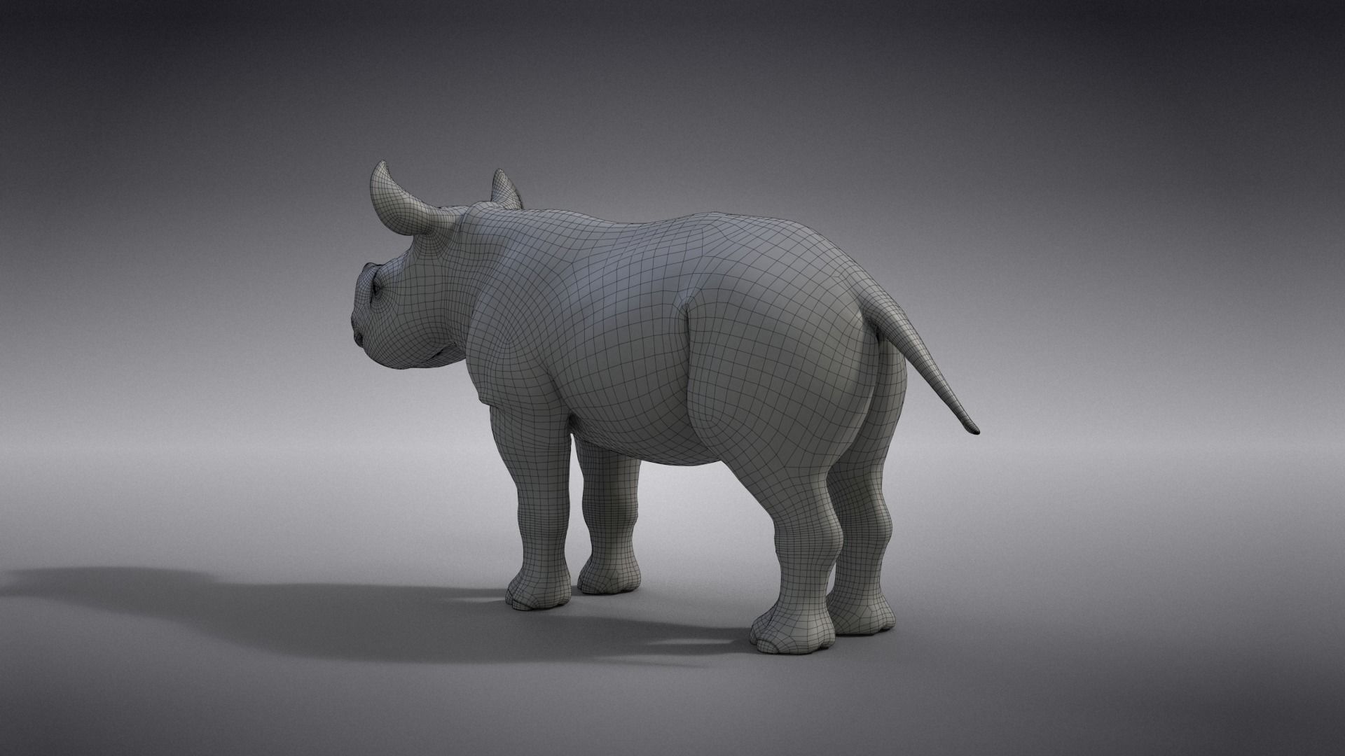 Rhino Baby Animated  VFX Grace 3D model_20