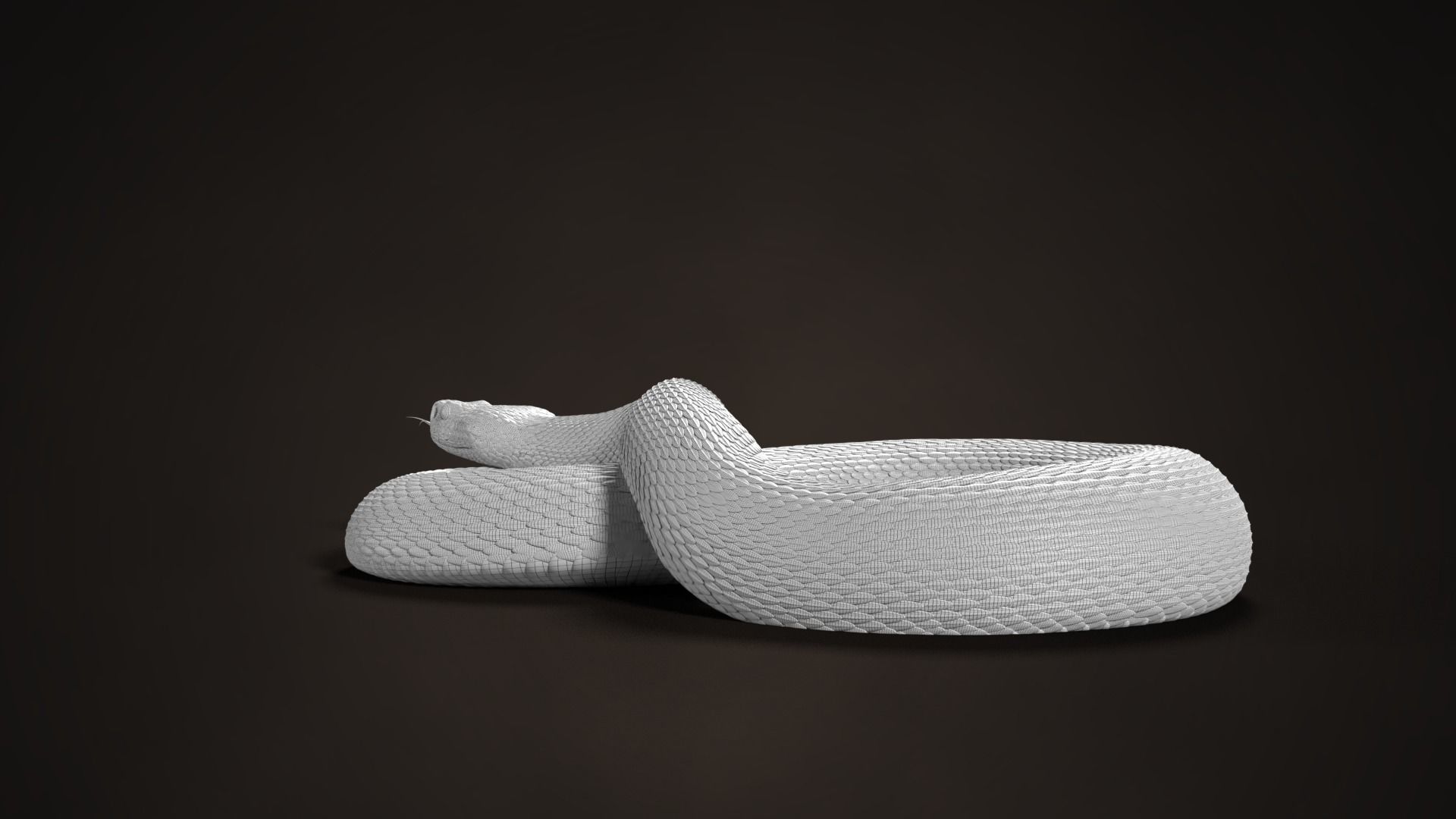 Russell Viper Animated VFX Grace 3D model_18