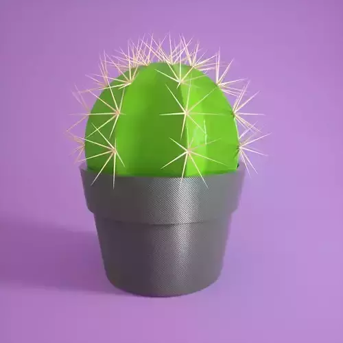 Cactus  plant