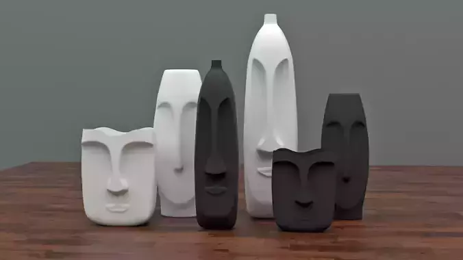 face vase collection