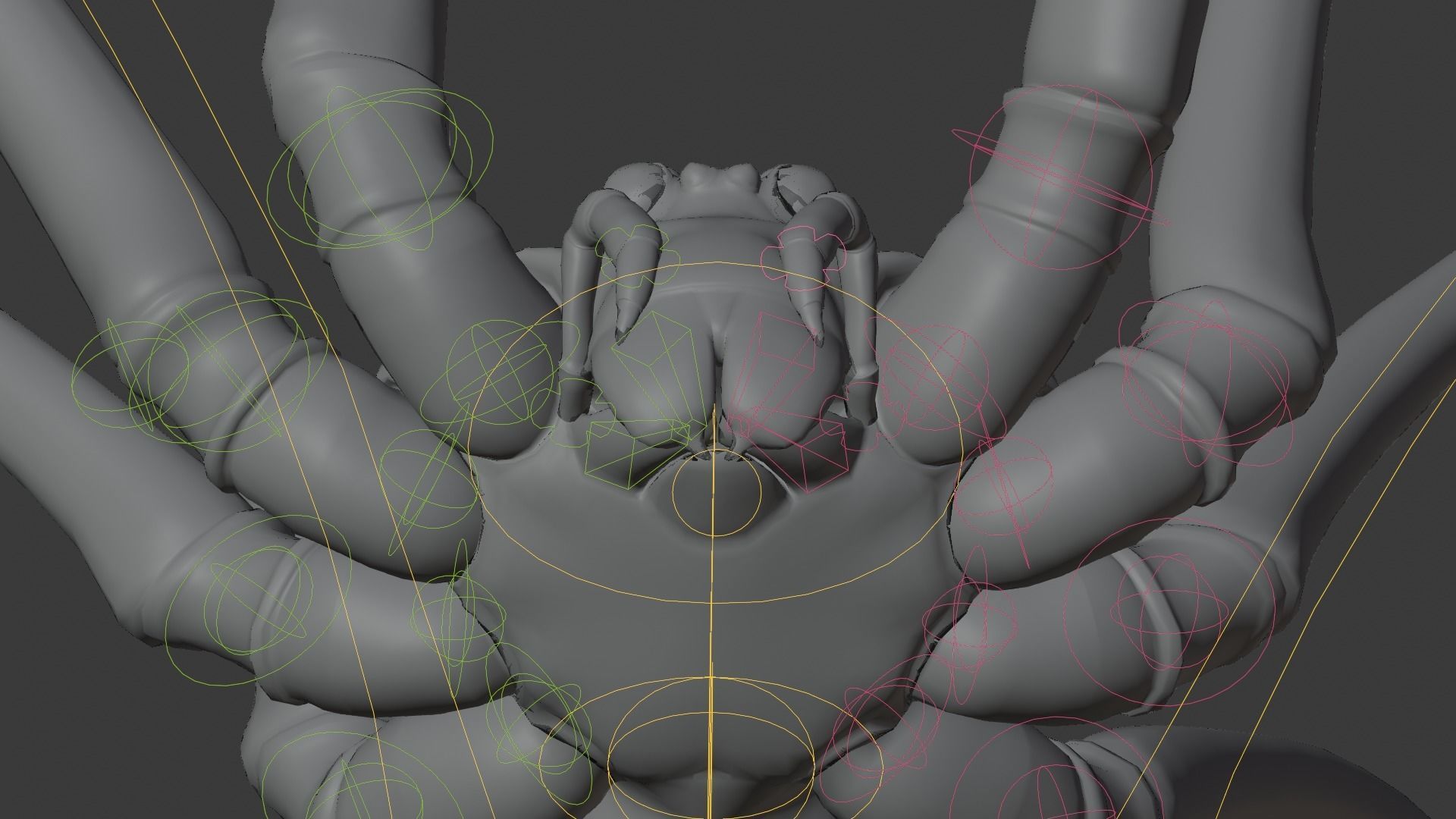 Spider Pholcus  Animated  VFX Grace 3D model_14