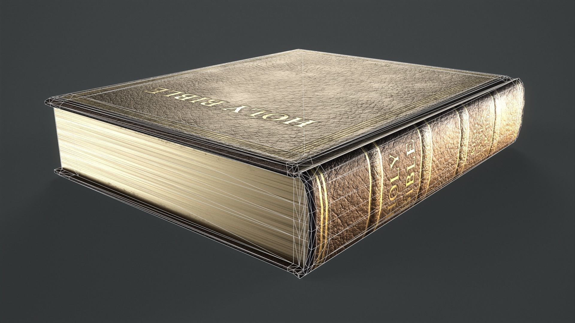 Holy Bible Low-poly 3D model_13