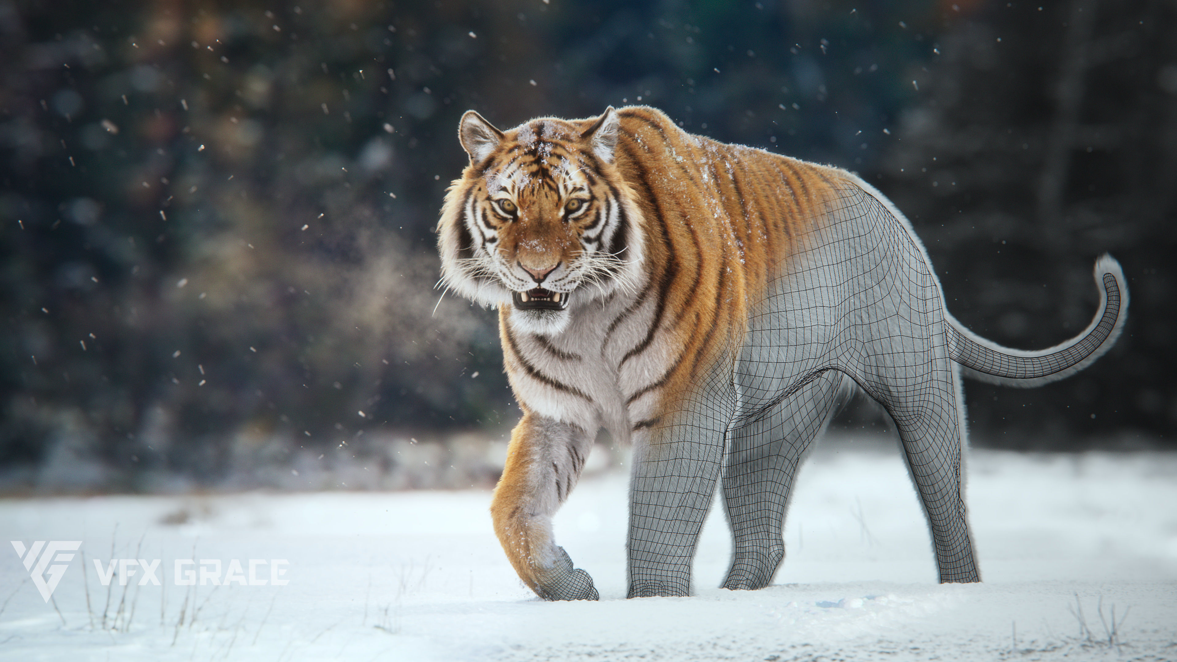 Siberian Tiger Animated  VFX Grace 3D model_11
