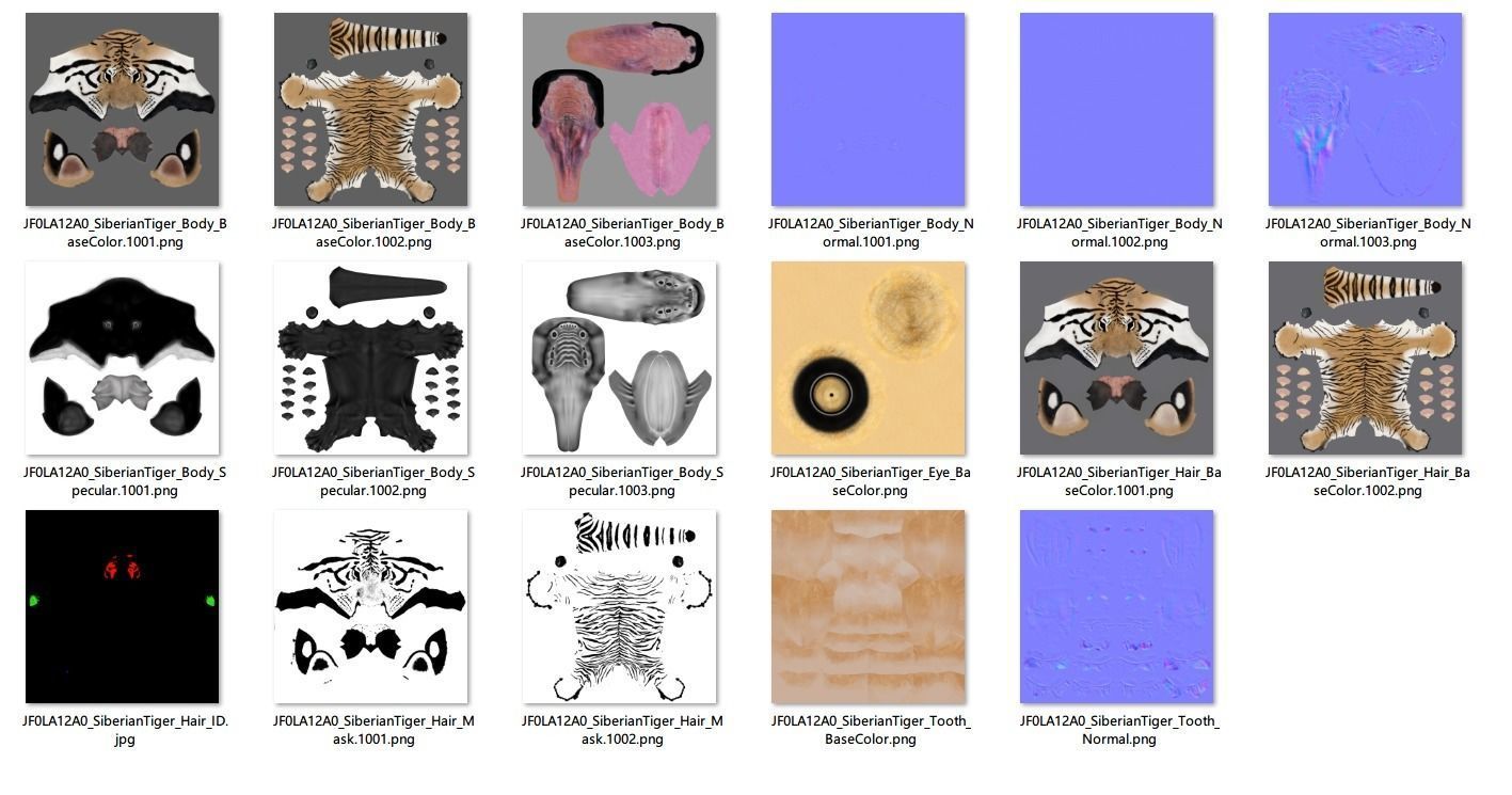 Siberian Tiger Animated  VFX Grace 3D model_35