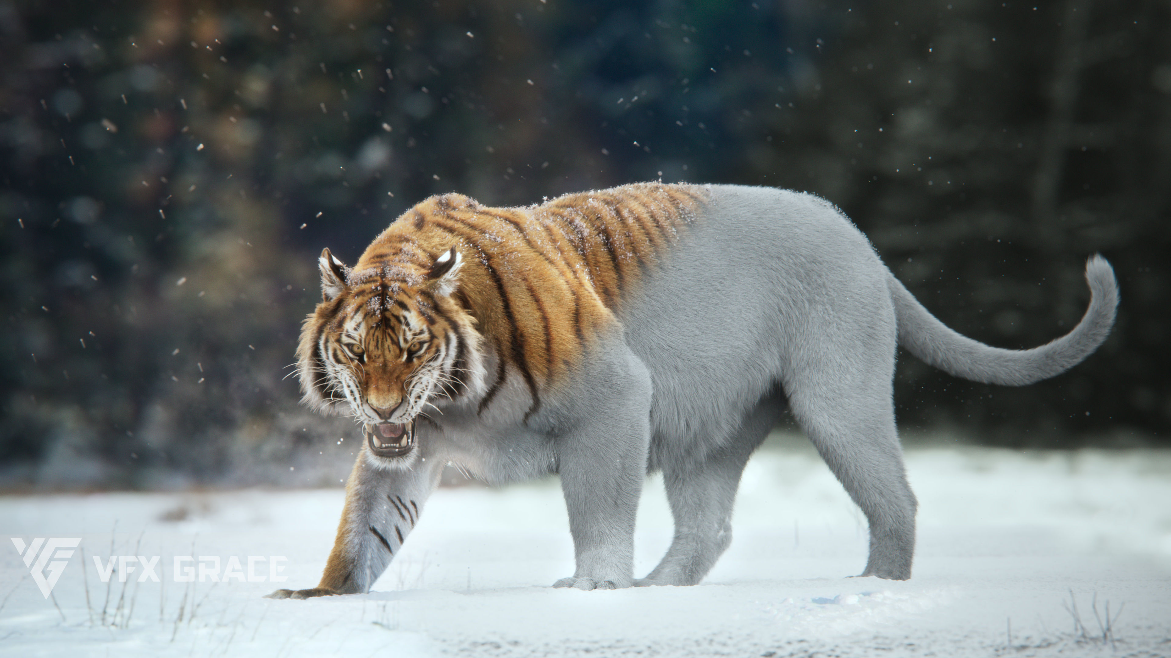Siberian Tiger Animated  VFX Grace 3D model_8