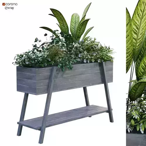 plant in box set 188