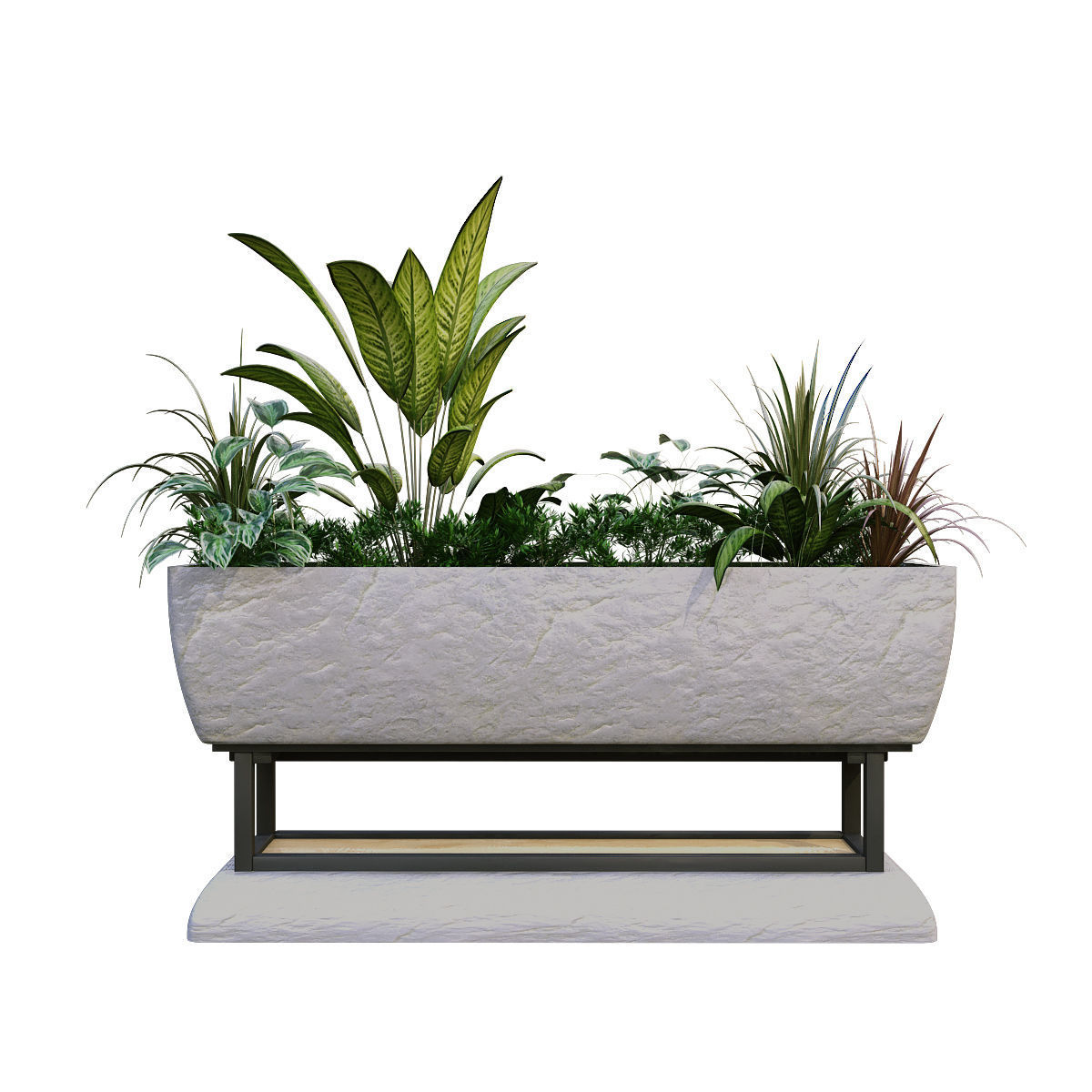 plant in box 187 3D model_1