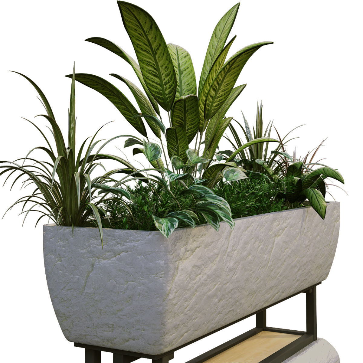 plant in box 187 3D model_3