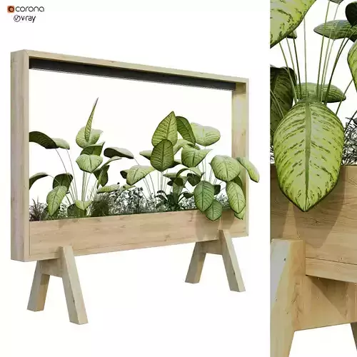 plant in box set 189
