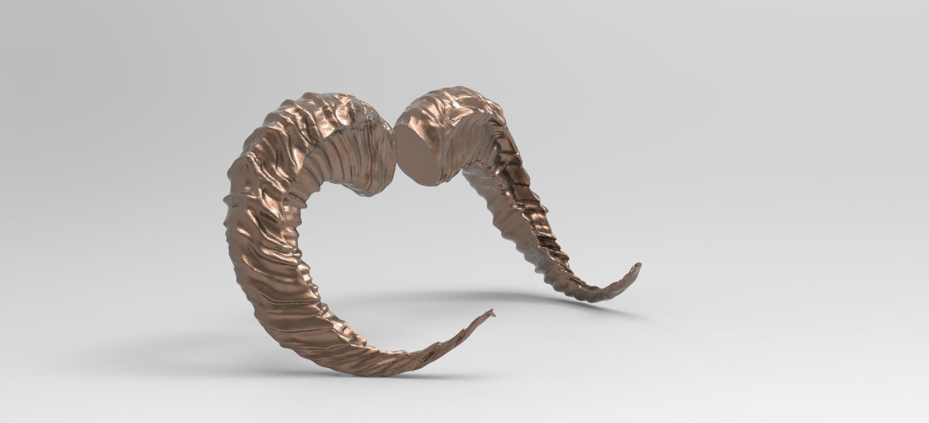 Sheep horns 3D 3D model_1