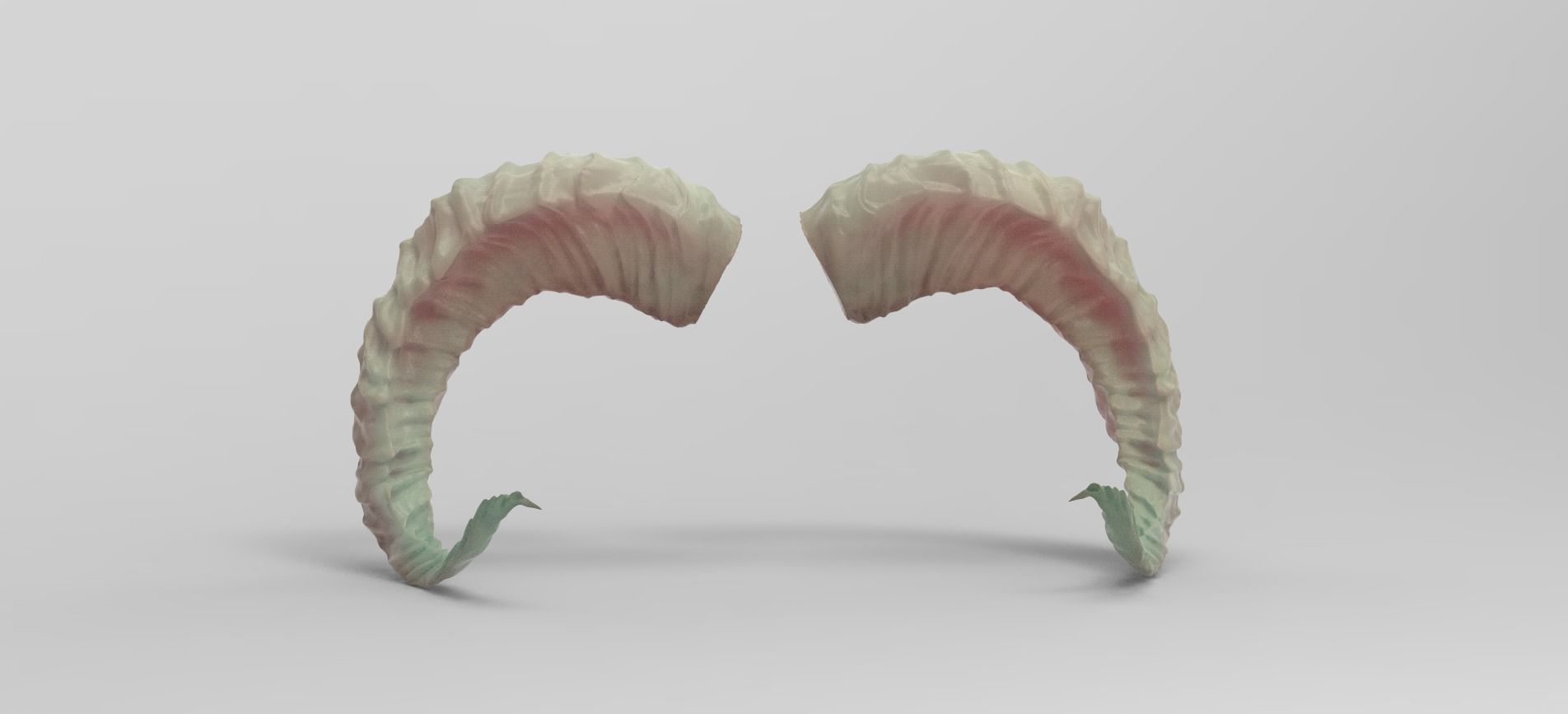 Sheep horns 3D 3D model_2