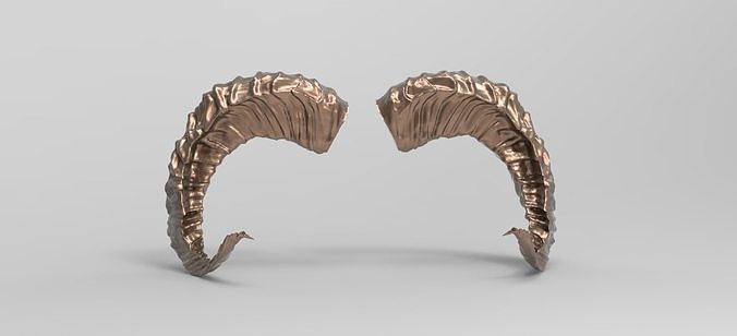 Sheep horns 3D 3D model