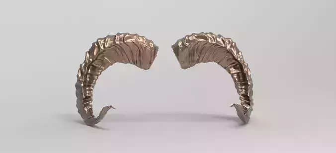 Sheep horns 3D 3D model