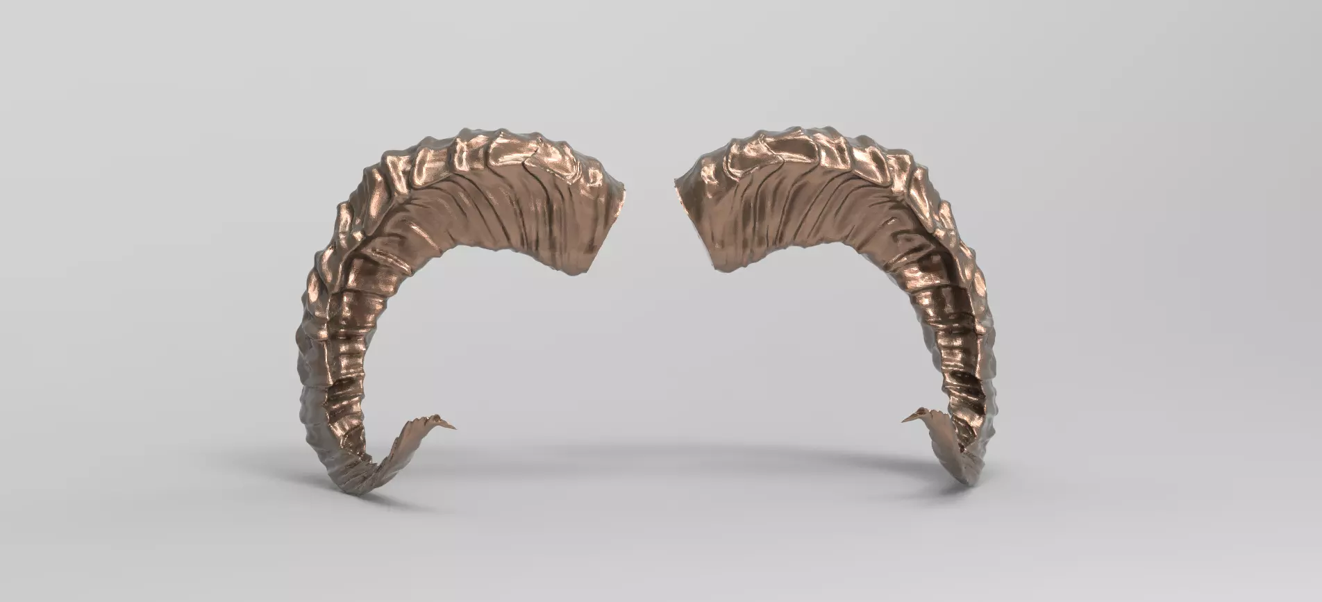 Sheep horns 3D 3D model_0