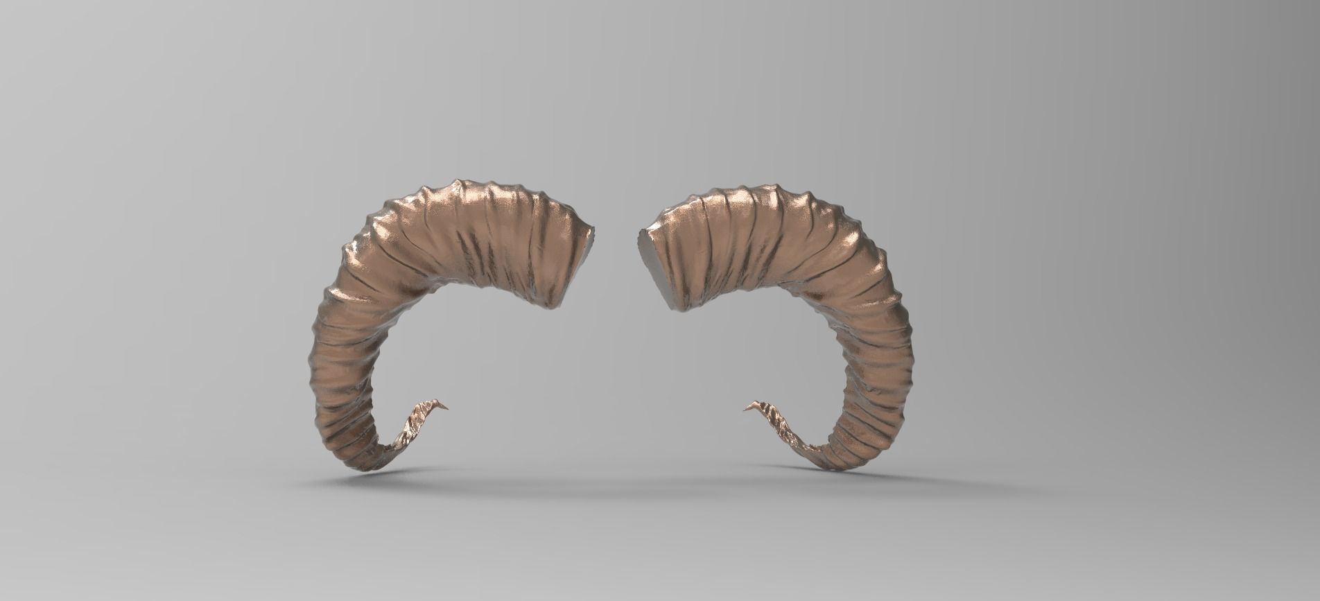 Sheep horns 3D 3D model_3