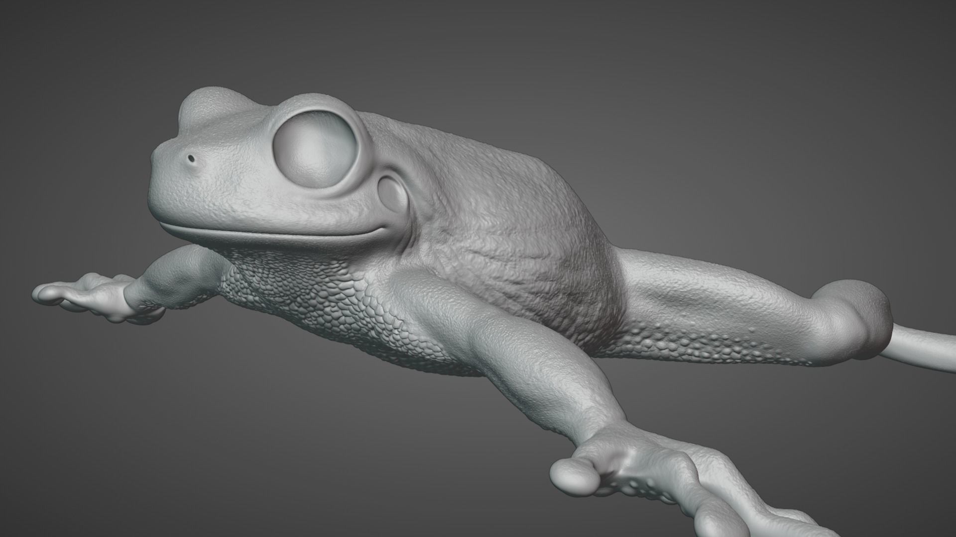 Tree Frog Animated VFX Grace 3D model_12