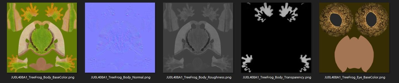 Tree Frog Animated VFX Grace 3D model_14