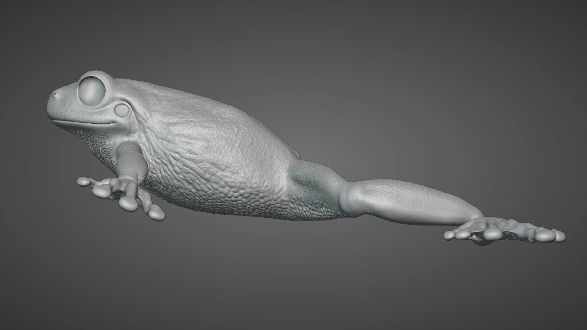 Tree Frog Animated VFX Grace 3D model_13