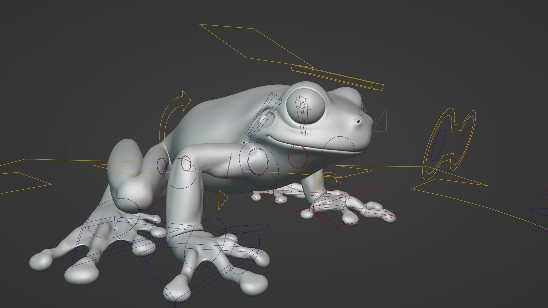 Tree Frog Animated VFX Grace 3D model_15