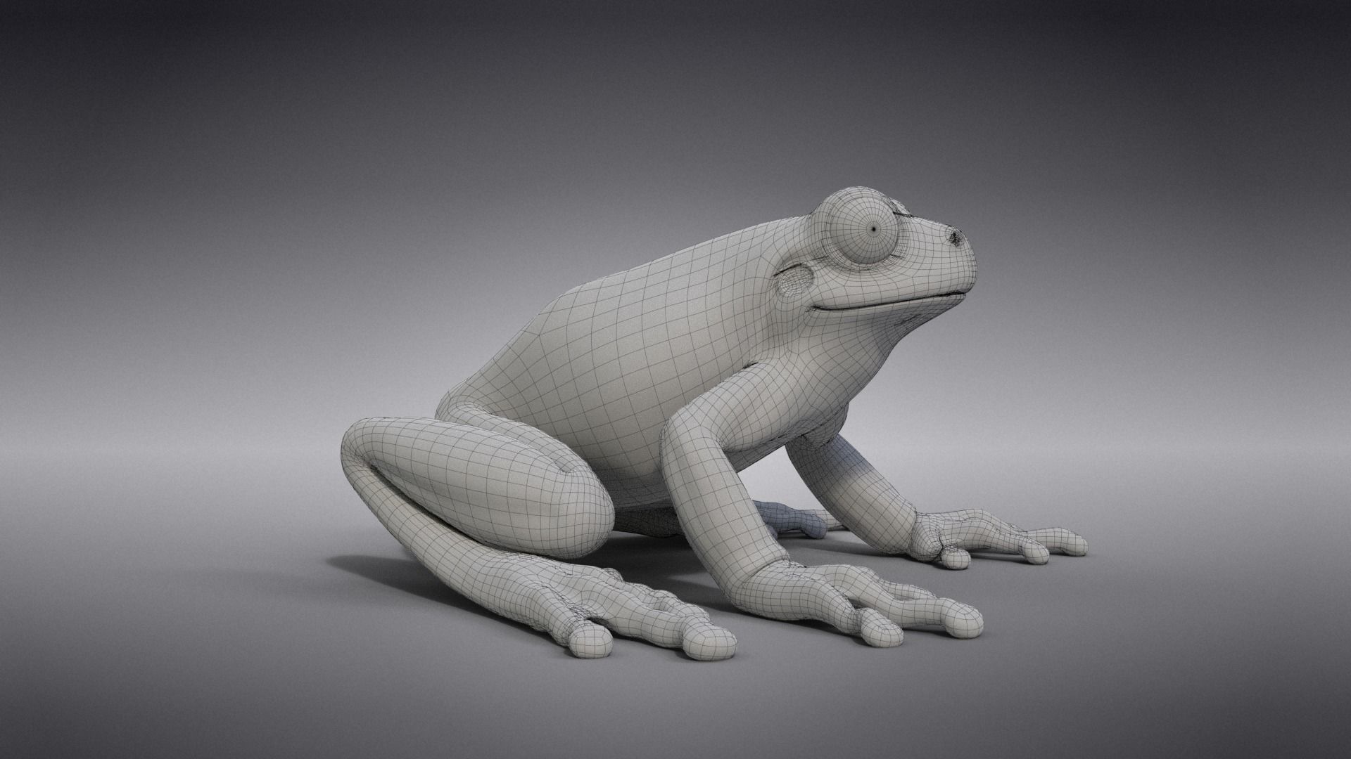 Tree Frog Animated VFX Grace 3D model_17