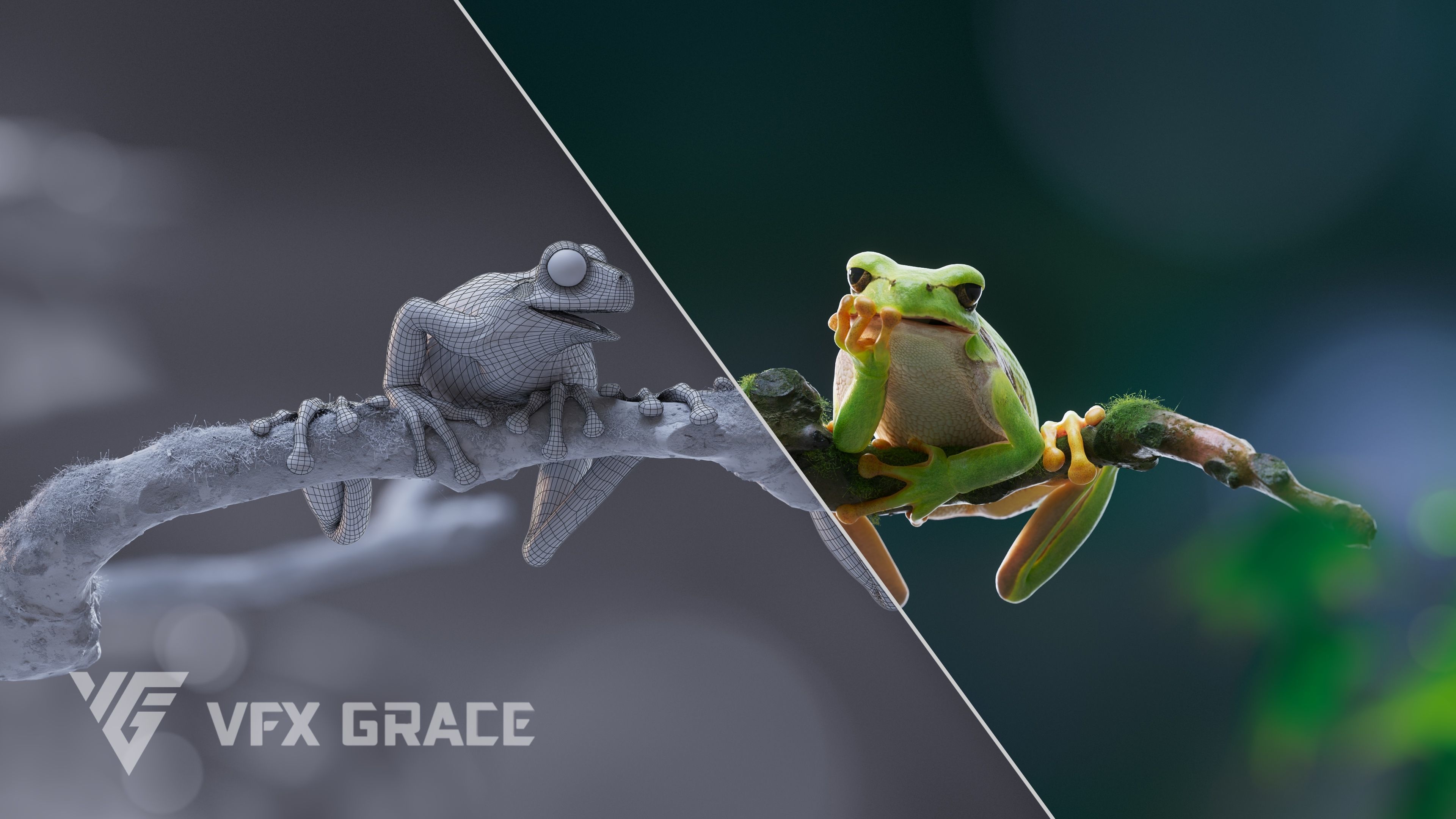 Tree Frog Animated VFX Grace 3D model_4