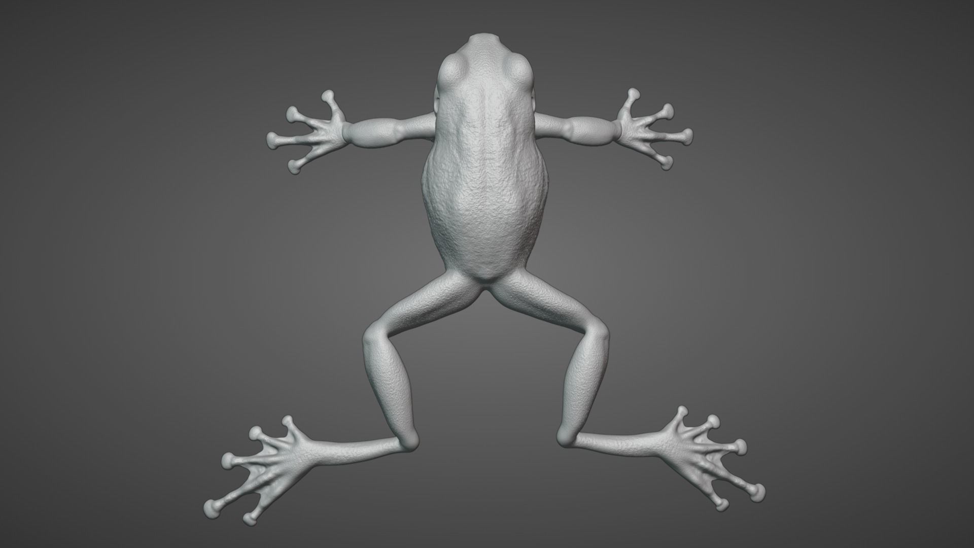 Tree Frog Animated VFX Grace 3D model_10